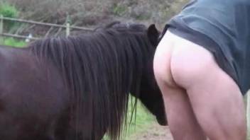 Dude with a big booty gets banged by a big-dicked stallion
