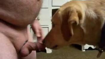 Tiny-cocked guy masturbates in front of his hot pet